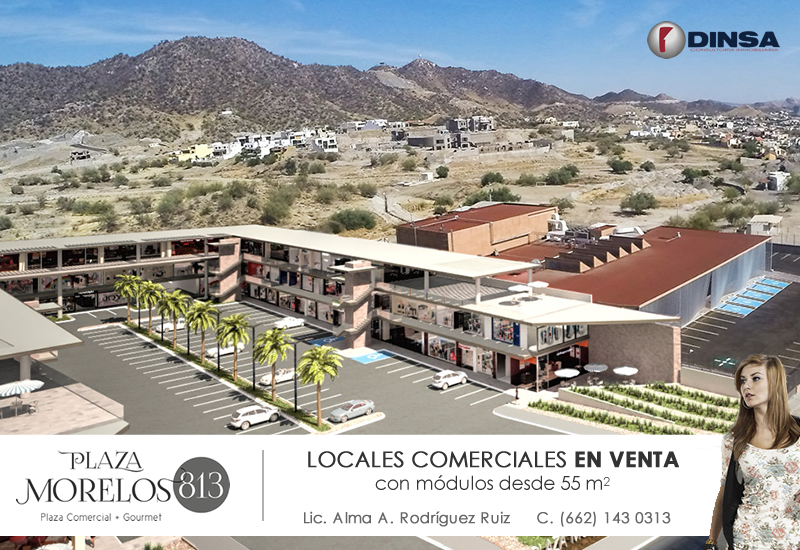 Locales en Venta en Colonia Colinas Del Bachoco