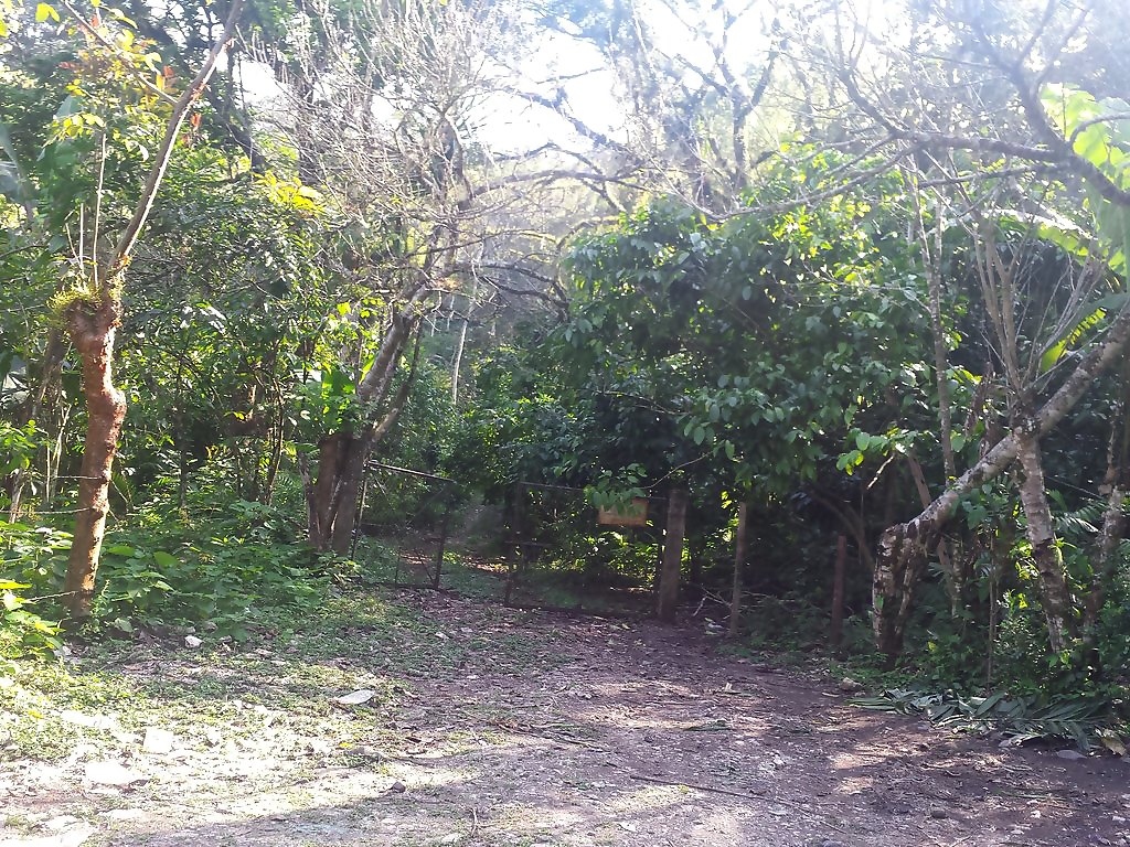 Terrenos en Venta en Colonia Industrial