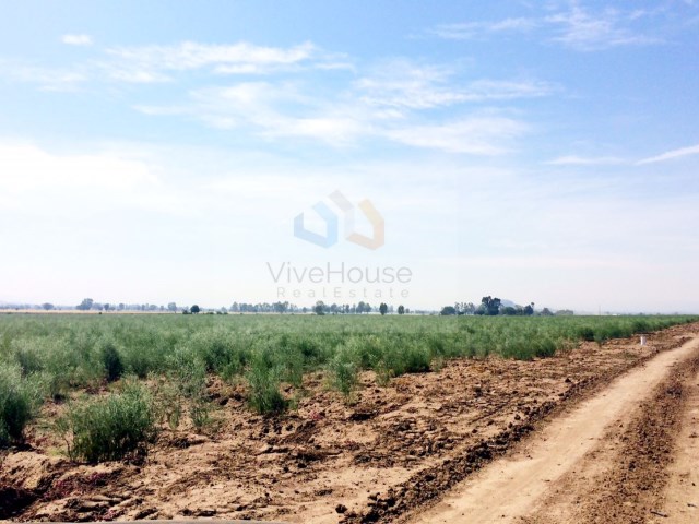 Lote en Venta en Pedro Escobedo