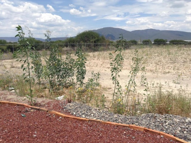 Terreno en Venta en San Isidro Buenavista