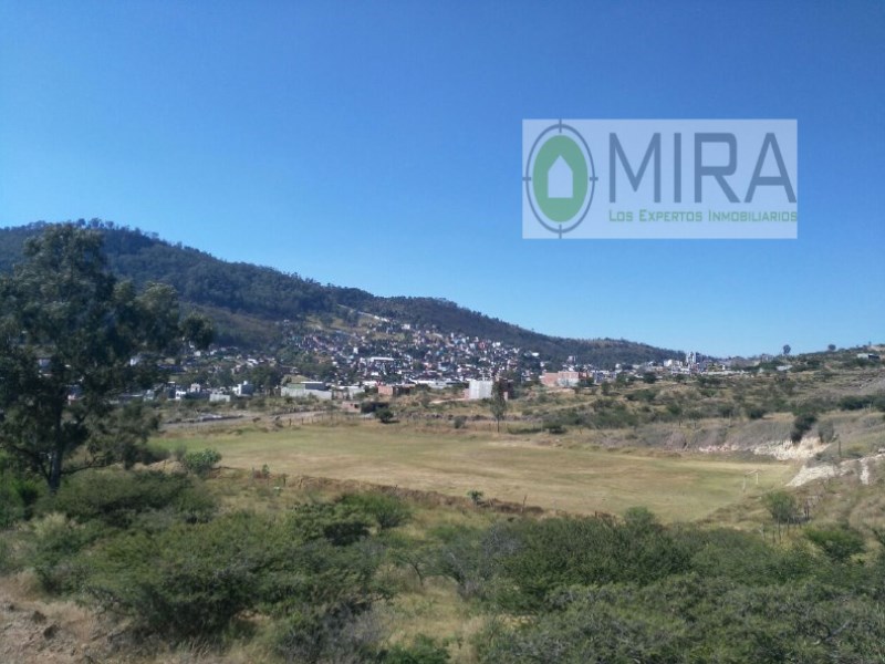 Terreno en Venta en colonia San Miguel Del Monte