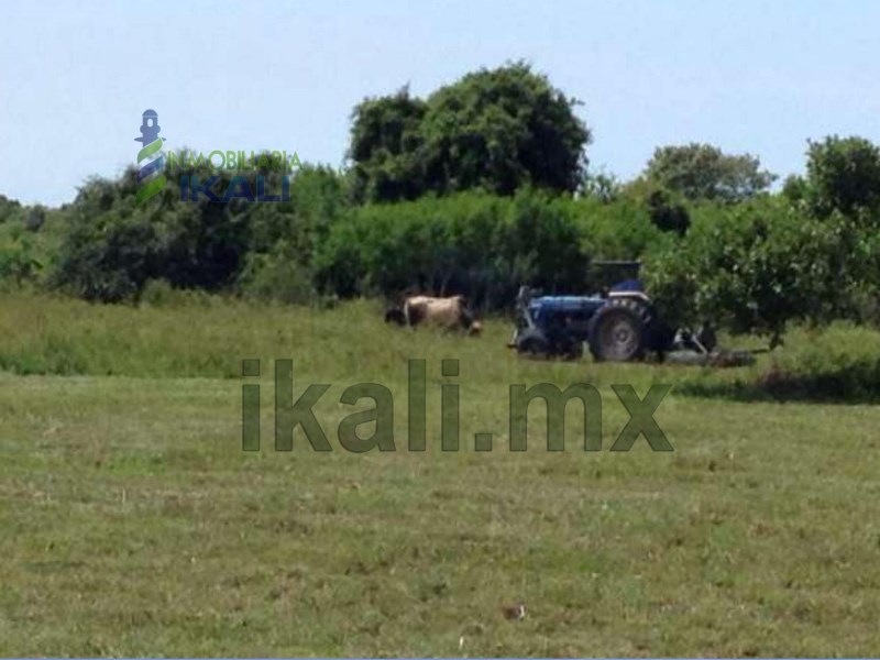 Finca en Venta en Nautla