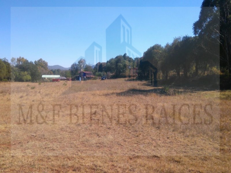 Terreno en Venta en colonia Huasca de Ocampo