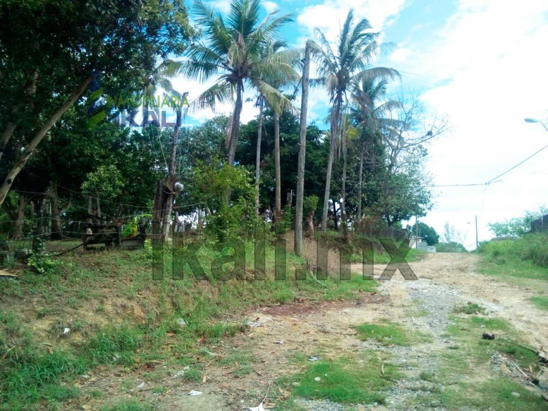 Terreno en Venta en colonia La Olimpica