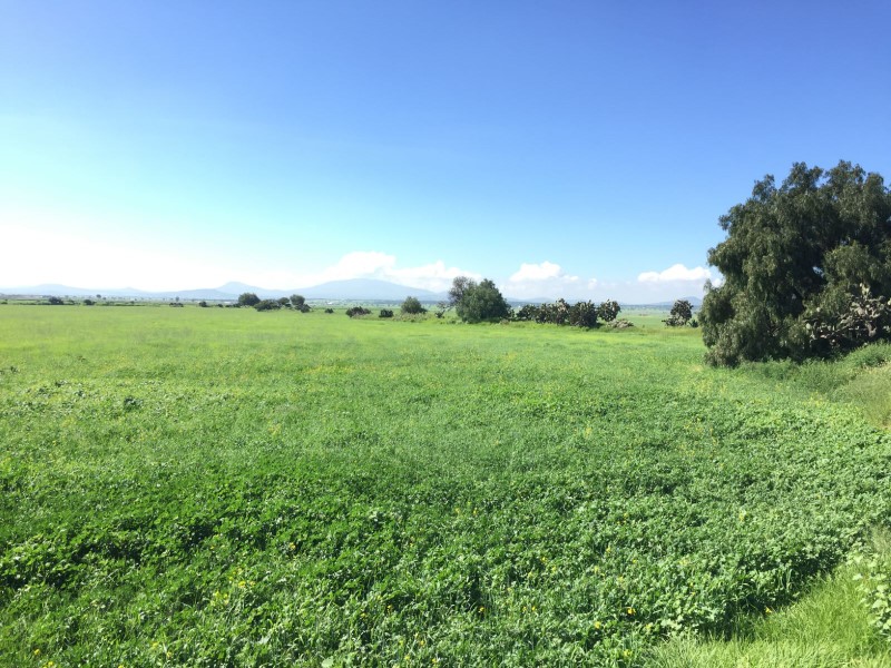 Terreno en Venta en colonia Tolcayuca