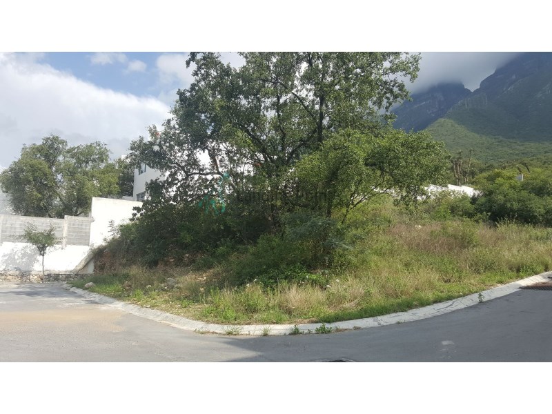 Terreno en Venta en Cumbres Elite Cima del Bosque