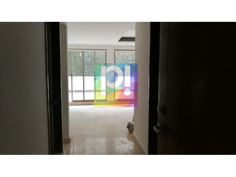 Departamento en Renta en Polanco V Seccion