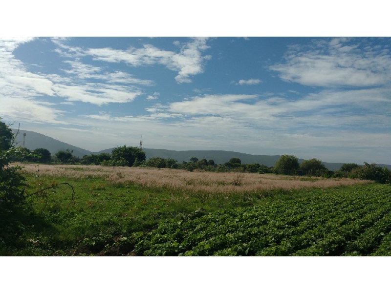 Terreno en Venta en La Trinidad Tepango