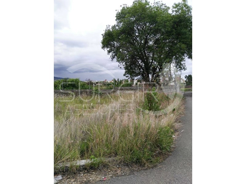 Terreno en Venta en Campestre Del Vergel