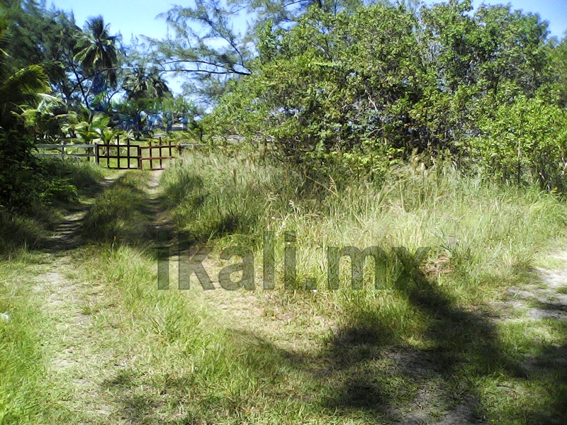 Terreno en Venta en Palo Blanco