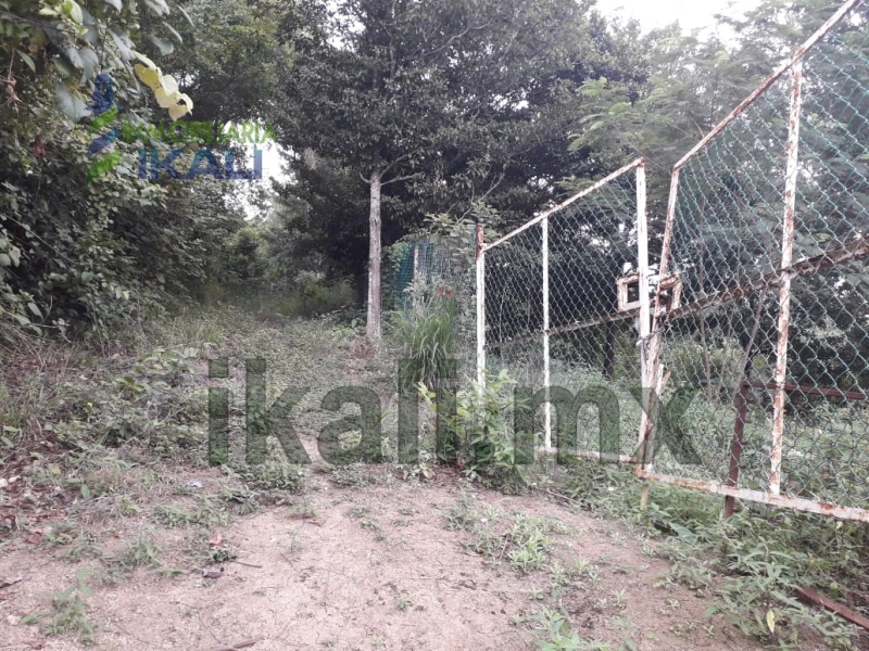 Terreno en Venta en Oscar Torres Pancardo