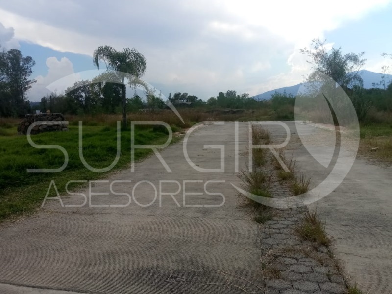 Terreno en Venta en Campestre Del Vergel