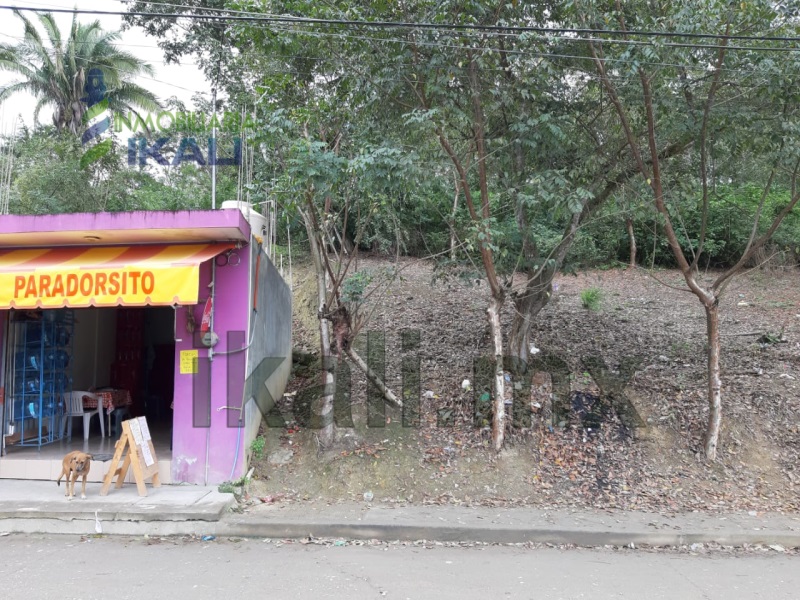 Terreno en Venta en Guadalupe Victoria