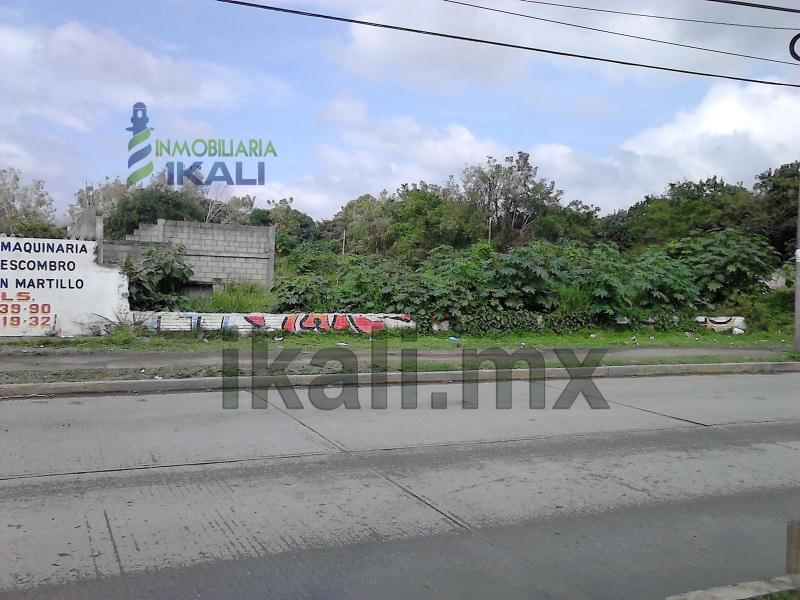 Terreno en Renta en Palma Sola