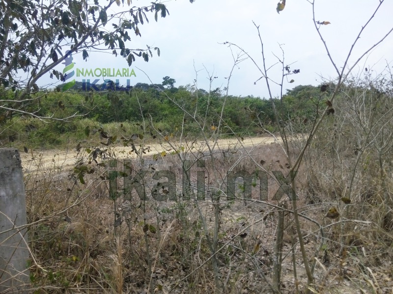 Terreno en Venta en colonia Jardines de Tuxpan