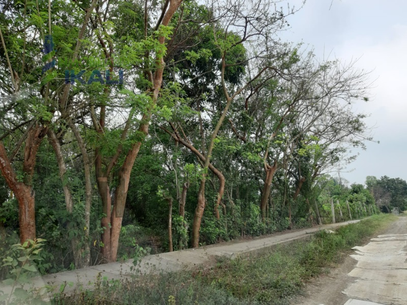 Terreno en Venta en Primavera