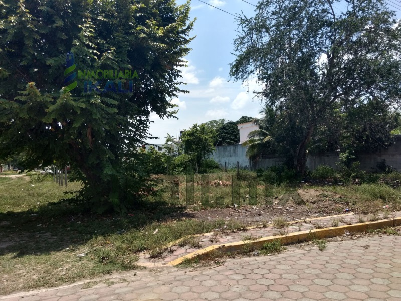 Terreno en Venta en colonia Educacion