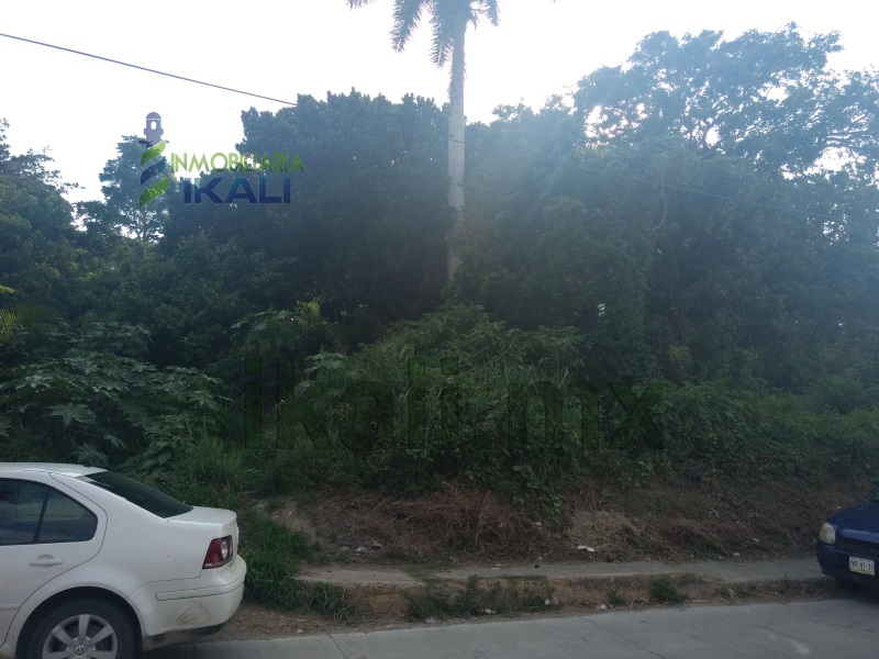 Terreno en Venta en colonia Anahuac