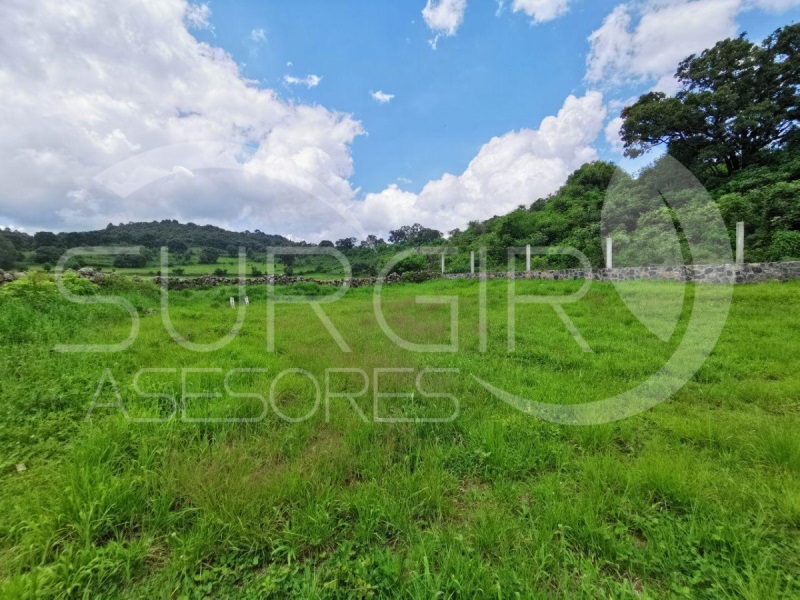 Terreno en Venta en colonia Quiroga