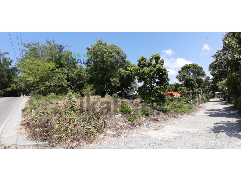 Terreno en Venta en colonia Anahuac