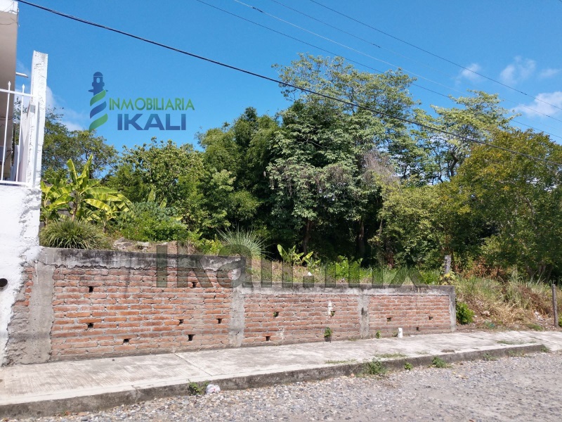 Terreno en Renta en Anahuac