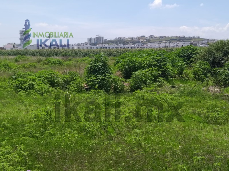 Terreno en Venta en colonia Azumiatla