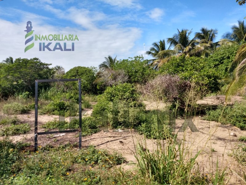 Terreno en Venta en colonia La Barra Norte