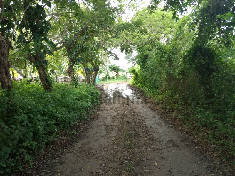 Terreno en Venta en Sabanillas