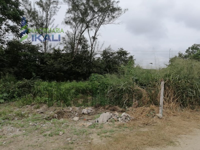 Terreno en Renta en colonia Villa Rosita