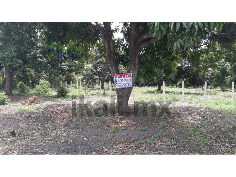 Terreno en Venta en colonia Ricardo Flores Magon