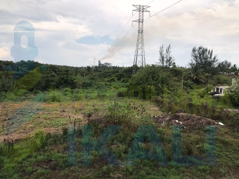 Terreno en Renta en colonia La Barra