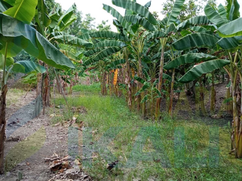 Terreno en Venta en colonia De Xico