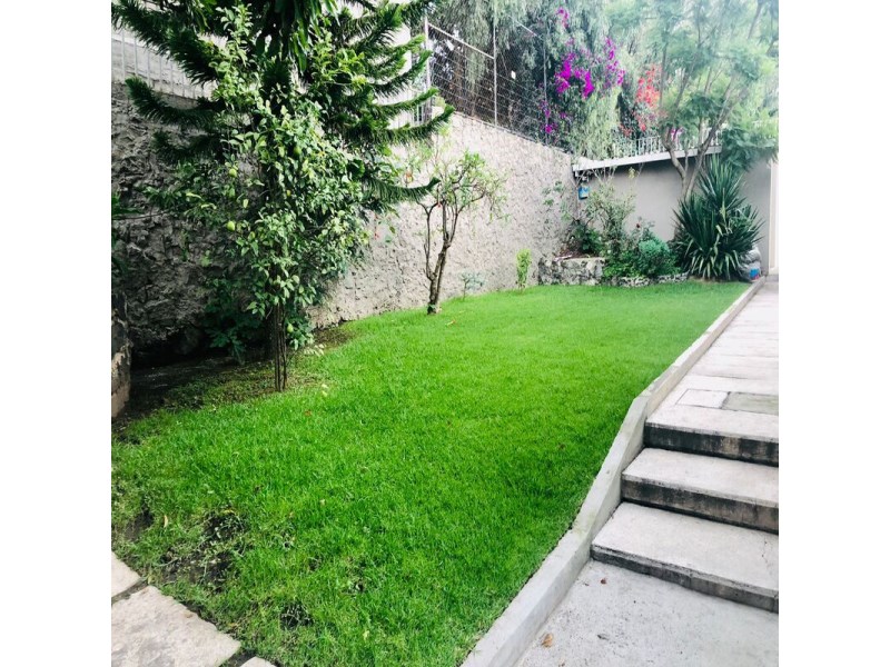 Casa en Renta en Jardines Del Pedregal
