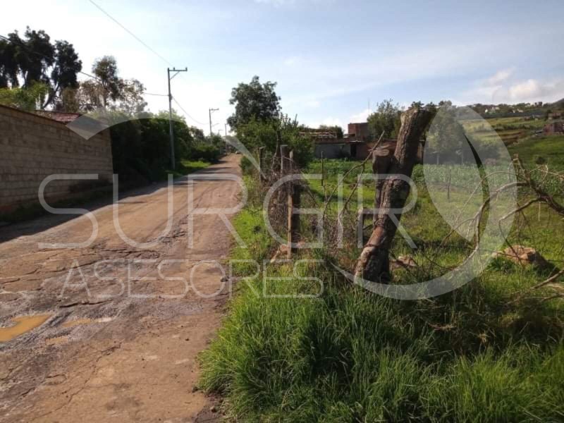 Terreno en Venta en colonia El Durazno