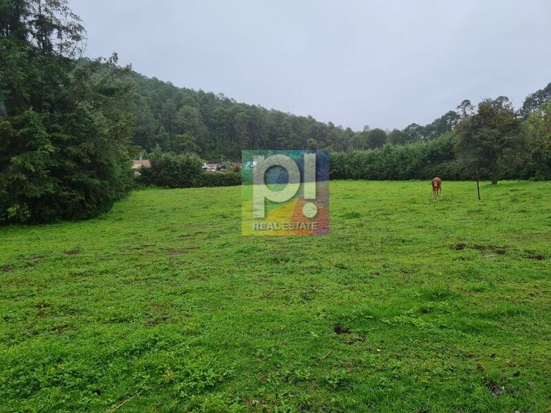 Terreno en Venta en colonia Salvador Escalante