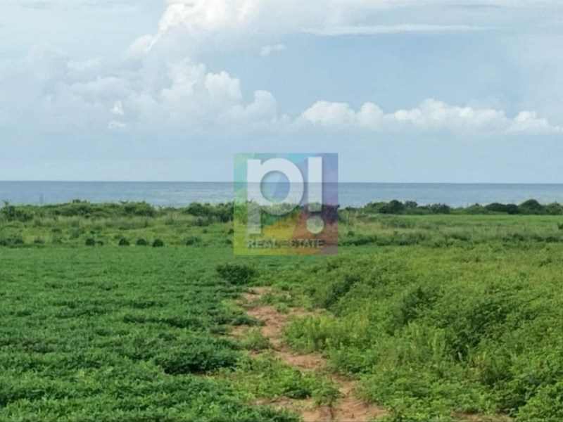 Terreno en Venta en El Tomatal