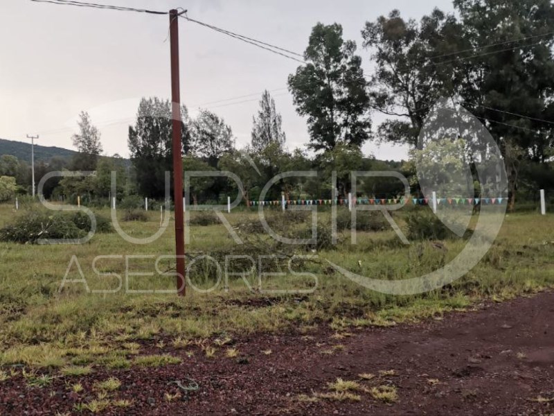 Terreno en Venta en colonia Joya de La Huerta