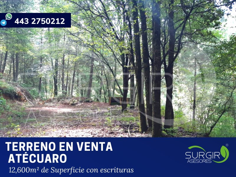 Terreno en Venta en Atecuaro