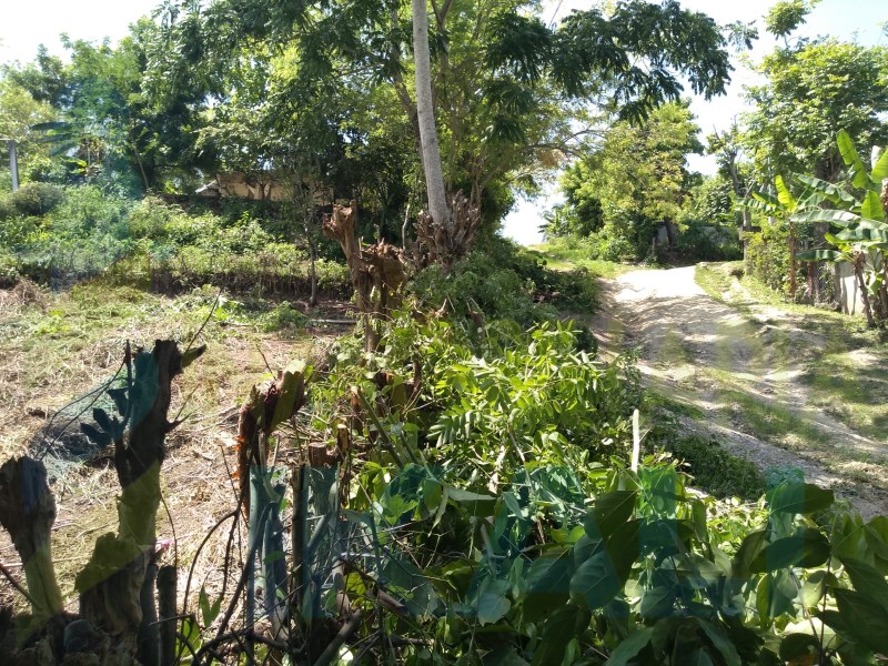 Terreno en Venta en Alto Lucero