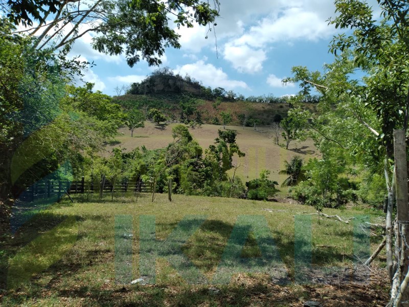Terreno en Venta en Carrizal