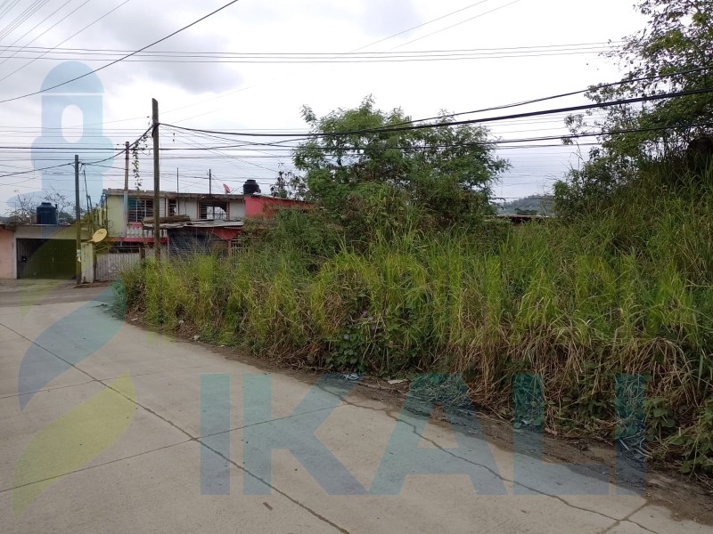 Terreno en Venta en Yanga