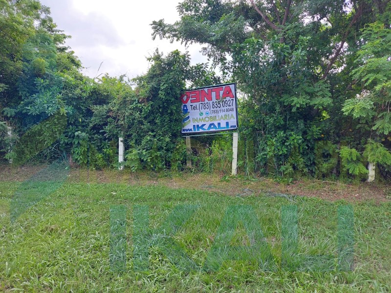 Terreno en Renta en Ceiba Rica