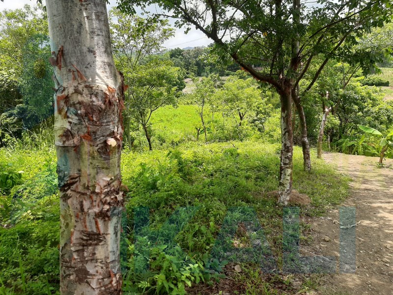 Terreno en Venta en Guadalupe Victoria
