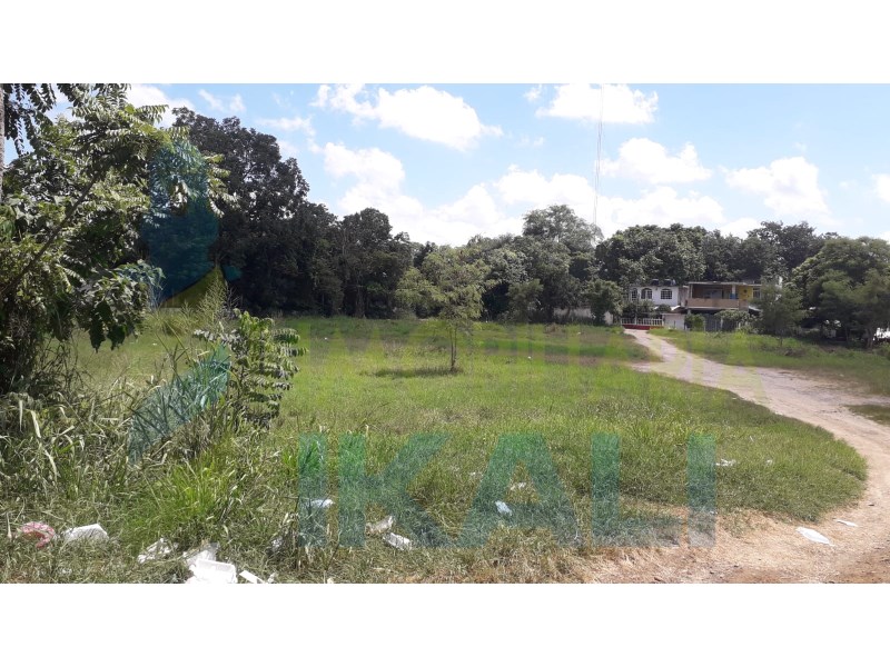 Terreno en Renta en Palma Sola