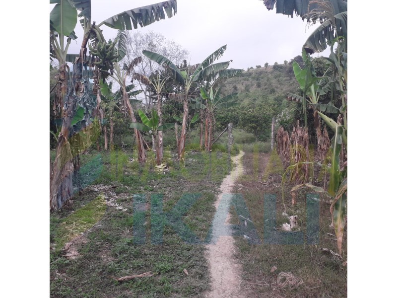 Terreno en Venta en Polutla