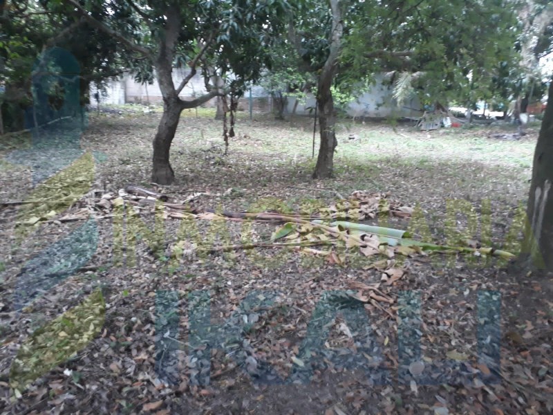 Terreno en Venta en Adolfo Ruiz Cortines