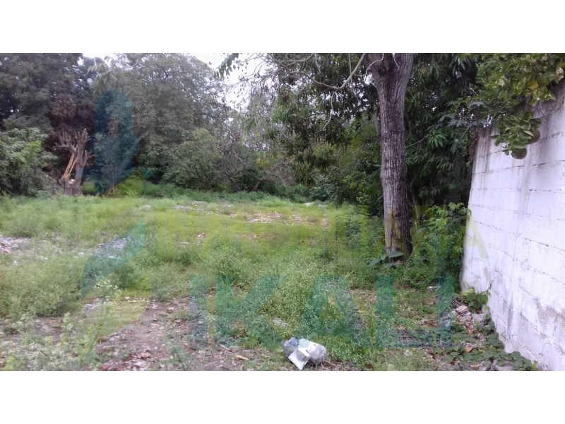 Terreno en Venta en Nuevo Progreso