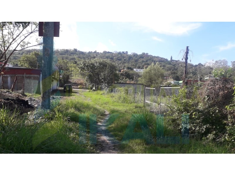 Terreno en Venta en Yanga