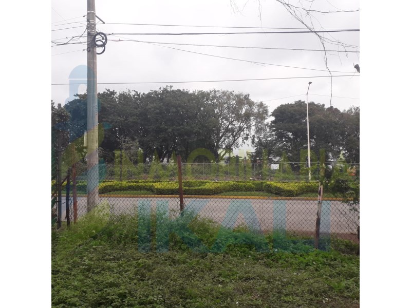Terreno en Renta en Palma Sola