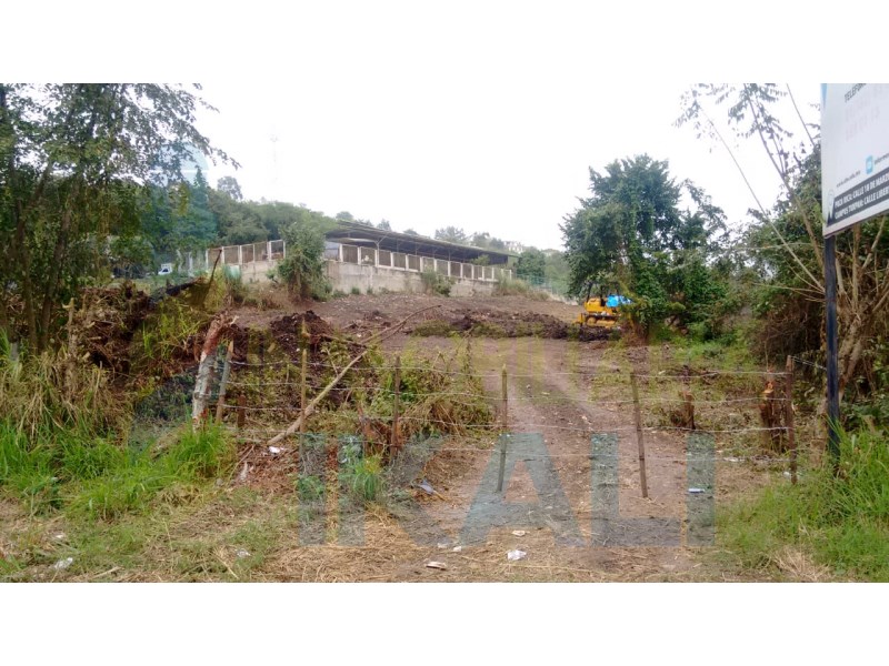Terreno en Renta en Olmeca